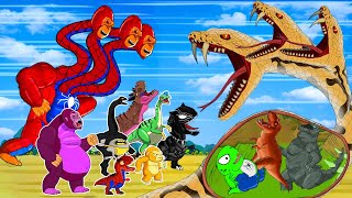 Titanoboa VS TRex Alligator  Dinosaurs fossils Episodes Indoraptor Skeletons Animation Cartoon [upl. by Trude538]