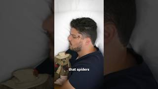 The SCARIEST fact about spiders 🕷️ 😱 [upl. by Anilrahc]