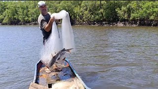 INACREDITÁVEL A QUANTIDADE DE PEIXES NO RIO DA BARRA VELHA 😲 PESCARIA DE TARRAFA 🕸️🐟🙏 [upl. by Innavoij565]