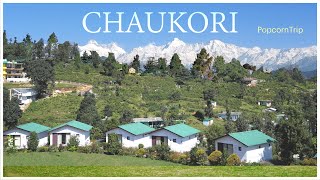 Chaukori चौकोड़ी Travel Guide Uttarakhands Hidden Paradise  A Cinematic Journey [upl. by Otreblon]