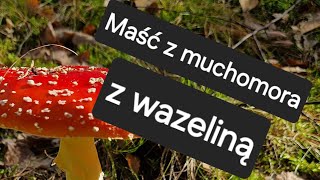 Maść z muchomora na bazie wazeliny 🍄 [upl. by Percival550]