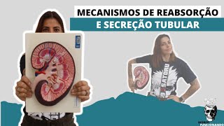 FORMAÇÃO DA URINA  MECANISMOS DE REABSORÇÃO E SECREÇÃO TUBULAR PALESTRA [upl. by Yltneb]