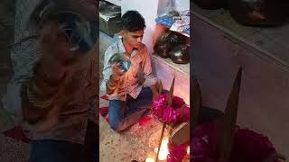 Dipawali per Mahadev ka damru bajaya viralvideo shortvideos trending youtube [upl. by Etnoel]