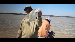 CRAPPIE ON SHALLOW FLATS ON ARKABUTLA LAKE [upl. by Jovi379]