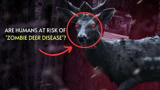 THE ZOMBIE DEER MYSTERY DISEASE REVEALED  POTENTIAL HUMAN PANDEMIC [upl. by Helfant]