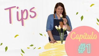 Floristería Básica  💡 Tips para Floristas  1 💡 [upl. by Attennyl253]