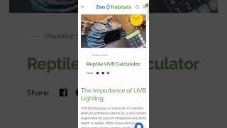 UVB lighting is a gamechanger for your reptile’s health 🦎🌞 [upl. by Xuaegram]