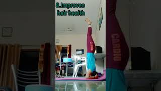 Benefits of sirsasanaHeadstand sirsasana sirsasanavariation headstand yoga stressrelief love [upl. by Ameg972]