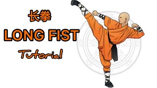 Learn Martial Arts 3 Basic Kicks for Beginners [upl. by Enyawad]