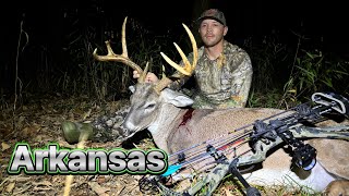 Arkansas Bowhunting  Whitetail Hunting  Deer Hunting  Bow Hunt [upl. by Mckenna820]