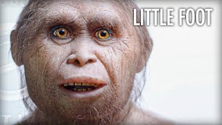 Why Homo Floresiensis May Still Be Around with Dr Gregory Forth [upl. by Anifad]