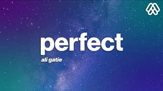 Ali Gatie  Perfect Lyrics [upl. by Eisnyl189]