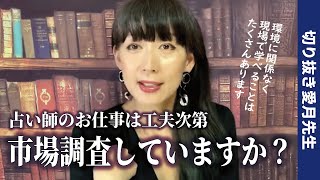 占い師の仕事って実際なにするの？市場調査amp工夫次第でいくらでも面白くなります！【公認・切り抜き愛月先生】 [upl. by Ablem38]