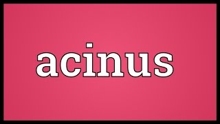 Acinus Meaning [upl. by Iat93]