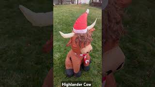 Highlander Christmas Cow Inflatable christmasinflatables christmas inflatable cow gemmy santa [upl. by Saberio563]