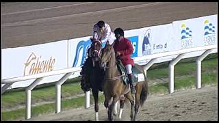 06012016 – Hipodromo Maroñas – Carr 16 – GRAN PREMIO JOSE PEDRO RAMIREZ [upl. by Hi]