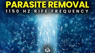 Parasite Removal Frequency 1150 Hz Rife Frequency to Cleanse Parasites [upl. by Mcgrody]