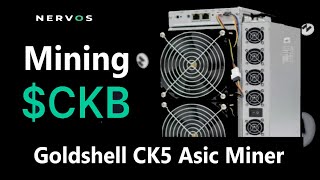 How to Mine Nervos CKB Coin on Eaglesong Algorithm via Goldshell CK5 Miner [upl. by Sitoeht]