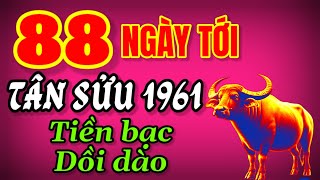 88 Ngày Tới Đầy May Mắn Cho Người Tuổi Tân Sửu 1961 Họ Có Sự Nghiệp Thăng Hoa Tiền Bạc Dồi Dào [upl. by Eart]