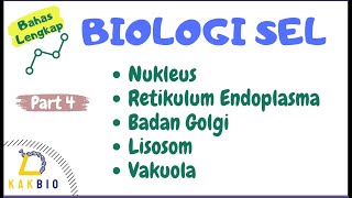 Nukleus Retikulum Endoplasma Badan Golgi Lisosom amp Vakuola  Biologi Sel Part 4 [upl. by Haley]