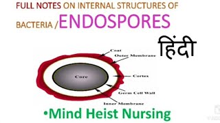 Full Notes on Internal structure of Bacterial CellENDOSPORES Explained In Hindi [upl. by Merta]