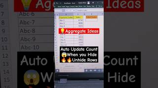 💡 Excel Aggregate Function Ideas  Auto Update Count When you Hide Unhide Rows trending excel [upl. by Arbrab]