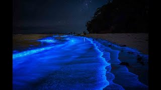 Jervis Bay After Dark [upl. by Resiak]