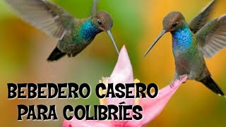 Como Hacer un Bebedero Para Colibríes Super Fácil👍 [upl. by Fira]