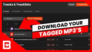 How To Download Your Tagged MP3s On BeatStars [upl. by Harbird]