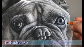 How to draw a realistic dog eye in charcoal on toned paper  Tutorial [upl. by Sedgewinn245]