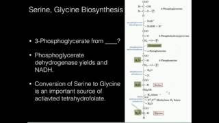 Serine Glycine Biosynthesis [upl. by Suehtomit913]