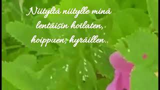 Juhannus toivotukset jokaiselle ðŸ’ðŸ˜ŠðŸŒºðŸ€ðŸ™ðŸŒžðŸŒ»ðŸ’š [upl. by Chaille590]