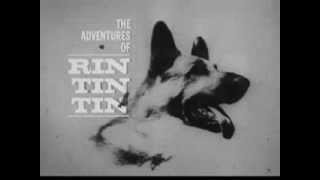 1960s Promo bumper for quotThe Adventures Of Rin Tin Tinquot for Post Cereals [upl. by Garfinkel597]