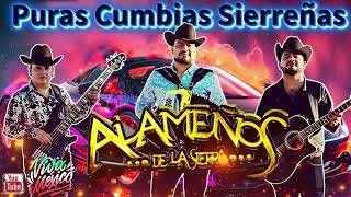 Los Alameños De La Sierra MEGA MIX Lo Más Chingon  Cumbias y Huapangos Para Bailar [upl. by Leirbma725]