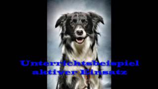 Schulhund Jack Unterrichtsbeispiel mit einem Buzzer [upl. by Krishnah]