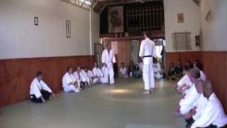 Korindo Aikido Sensei John Goss 3 of 5 Demonstration 908 [upl. by Airekal380]