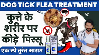 कुत्ते के पिस्सू जूँ मारने का घरेलु कारगर ईलाज  Tick And Flea Treatment for Dogs and Cats In Hindi [upl. by Zelda979]