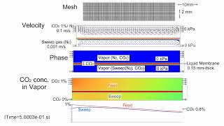 CFD Gas Separation by Liquid Membrane 1 Sweep Mode [upl. by Zelazny]