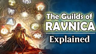 The Guilds of Ravnica Explained  Magic the Gathering Lore [upl. by Daisi]