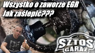 Wszystko o zaworze EGR jak zaślepić [upl. by Lamhaj907]