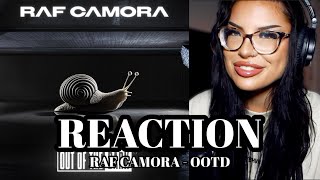 Mit Falco Sample 🤯🐉 RAF Camora  OUT OF THE DARK  REACTION [upl. by Enier783]