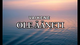 Vaikene ole ääneti [upl. by Ettelrac636]