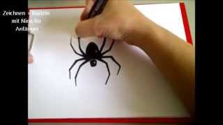 Eine Spinne zeichnen How to Draw Spider SchrittfürSchrittAnleitung [upl. by Lorant449]