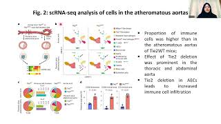 JC101 The angiopoietin receptor Tie2 is atheroprotective inJawaria Siddiqui [upl. by Eartha123]