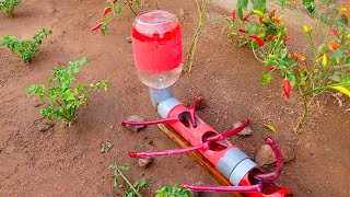 Cómo hacer Riego Por Goteo automático para chilis tomates [upl. by Groves]