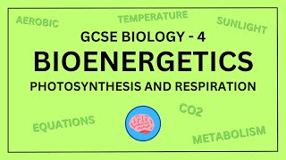 AQA GCSE Biology in 10 Minutes  Topic 4  Bioenergetics Photosynthesis and Respiration [upl. by Lyrradal]