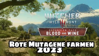 So kannst du rote Mutagene in Witcher 3 farmen NextGenVersion2023 [upl. by Lindemann]