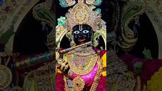 શ્રી ગોપીનાથ મહારાજ  ગઢપુર gopinathji ekadashi vadtal kalupur baps [upl. by Acim763]