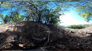 Massif du Tanneron mimosas fleuris en 360° [upl. by Hanson410]