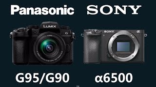 Panasonic LUMIX DCG95G90 vs Sony a6500 [upl. by Atsira968]